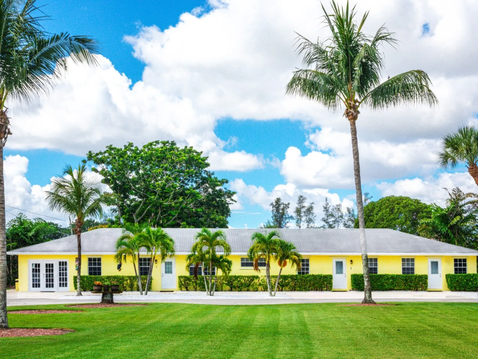 Sunlit private residence with palm-lined grounds